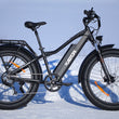 Fat Bike Électrique FREEDOM 980 Noir
