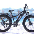 Fat Bike Électrique FREEDOM 980 Noir